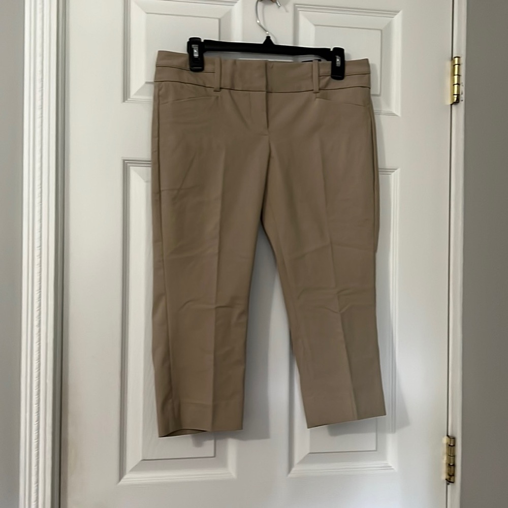 The limited petite crop size 6P